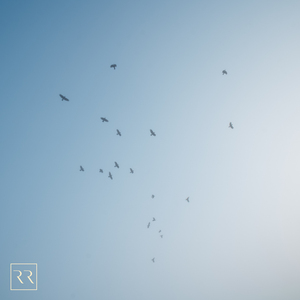 亚洲精品一区二区三区四区五区
